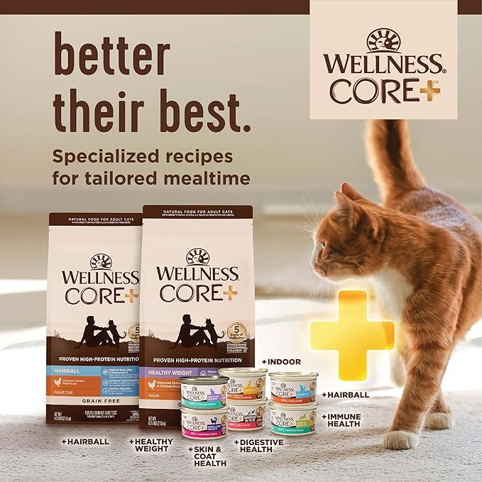 Wellness CORE+ Digestive Health Adult Dry Cat Food, Natural, Wholesome Grains Kibble, Salmon and Rice Recipe, 11 lb Bag