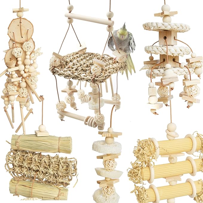 6 Pcs Natural Bird Toys for Parrots - Seagrass Swing, Loofah, Wood & Corn Husk Chew Toy Set - Shredding Enrichment Kit for Small to Medium Cockatiels, Parakeets, Conures, Budgies