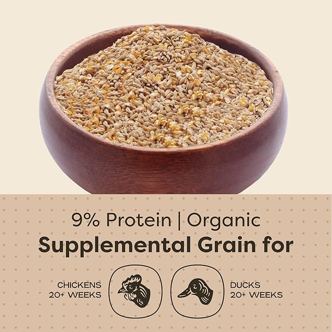 Scratch and Peck Feeds Whole Grain Scratch + Corn Chicken and Duck Supplemental Grain - Soy-Free - 9% Protein, Certified Organic and Non-GMO Project Verified Chicken Food - 50 lbs Bag
