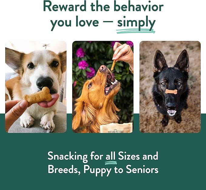 Portland Pet Food Company Healthy Dog Treats Vegan Variety Pack - Grain-Free, Human-Grade Apple Mint, Gingerbread, Pumpkin Treats - Natural Training Biscuits for All Ages & Sizes, Made in USA - 3 Pack