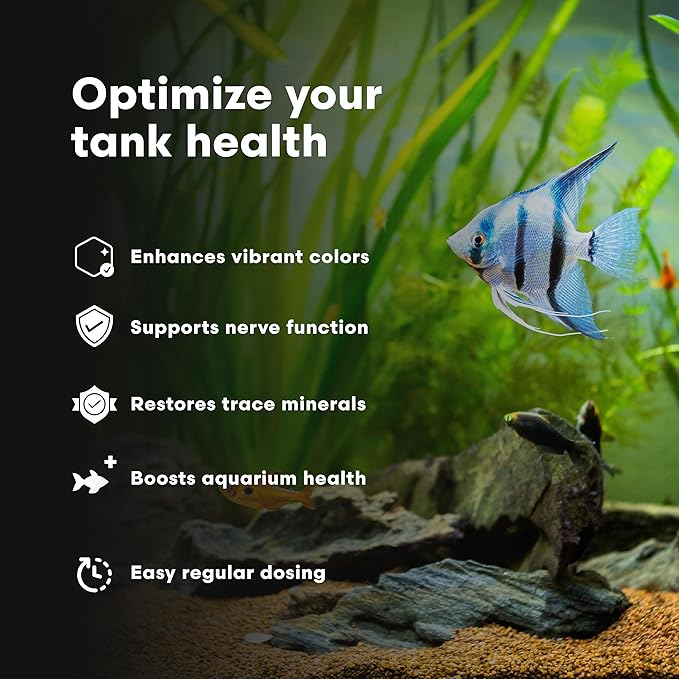 Brightwell Aquatics DiscusCōde Trace and Minor Element Supplement Supports Coloration Nerve Function Overall Health in Discus and Amazonian Freshwater Fish, 250 ml