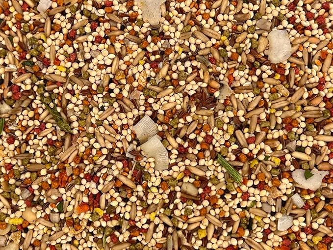 (2 Pack) Higgins Sunburst Gourmet Blend Parakeet Bird Food (2-lb Each) with AuroraPet Wipes