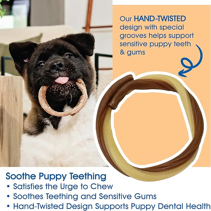 N-Bone Puppy Teething Rings Taste of Texas Queso Con Carne Flavor 3 Count (Pack of 2)