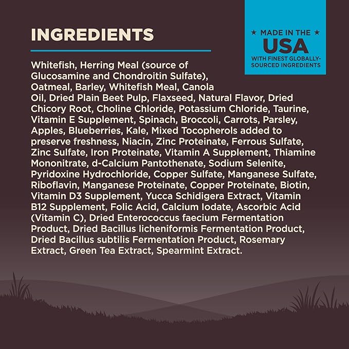 Wellness CORE Adult Dry Dog Food, Wholesome Grain Kibble, Natural, High Protein, Chicken Free, Whitefish and Herring Recipe, 22 lb Bag