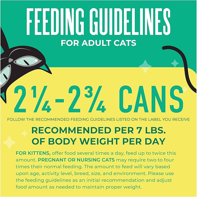 Tiki Cat Seafood Selects Wet Cat Food Mega Pack, 2.8 oz Can (36 Count)