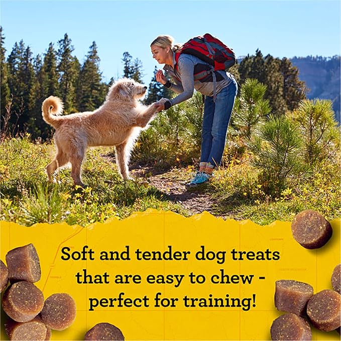 Zuke's Mini Naturals Dog Training Treats, Salmon Recipe, Soft Mini Dog Treats with Vitamins & Minerals, Made for All Breed Sizes (Salmon, 16 Ounce (Pack of 2)
