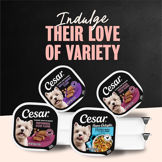 Cesar Wet Dog Food Classic Loaf in Sauce Grilled Chicken, Filet Mignon, Porterhouse Steak, Beef, Chicken & Liver and Turkey Variety Pack 3.5 oz. Easy Peel Trays (36 Count, Pack of 1)