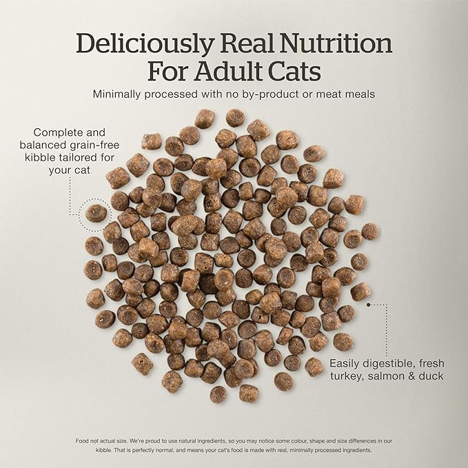 Now Fresh Adult Dry Cat Food, Turkey, Salmon & Duck Recipe, Grain-Free, Chicken-Free, 16 lbs