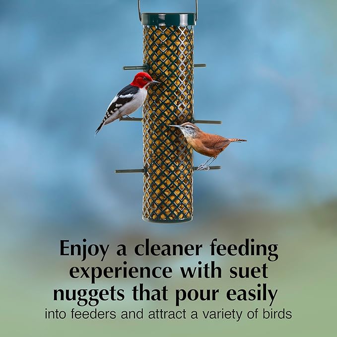 C&S Sunflower Suet Nuggets, Wild Bird Food for Woodpeckers, Chickadees, Nuthatches, and More., 27 Ounces