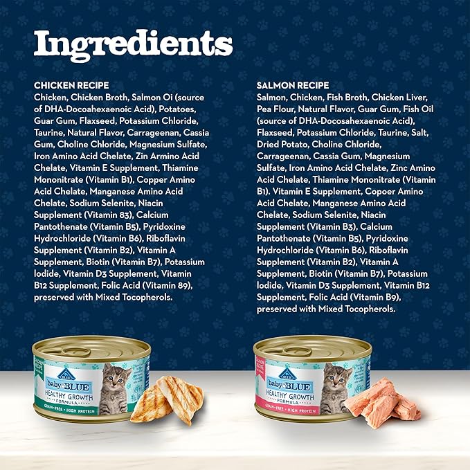 Blue Buffalo Baby Blue Natural Kitten Wet Cat Food Paté Variety Pack, Healthy Growth Formula with DHA, High-Protein & Grain-Free, Chicken and Salmon Recipes, 3-oz Cans (6 Count, 3 of Each) (Pack of 4)
