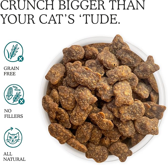 Cat Person, Salmon Savory Crunchies Cat Treats, 2oz Bag