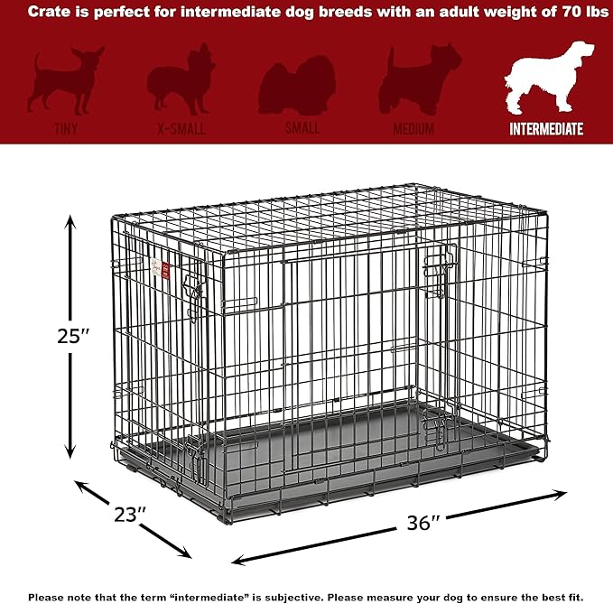 MidWest Homes for Pets Intermediate LifeStages Double Door 36-Inch Folding Dog Crate, Enhanced Security, Includes Leak-Proof Pan, Divider Panel, Handle, Rubber Feet