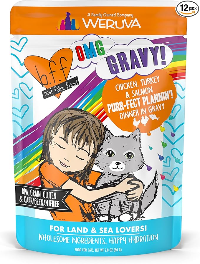 Weruva B.F.F. OMG - Best Feline Friend Oh My Gravy!, Purr-FECT Plannin'! with Chicken, Turkey & Salmon in Gravy Cat Food, 2.8oz Pouch (Pack of 12)