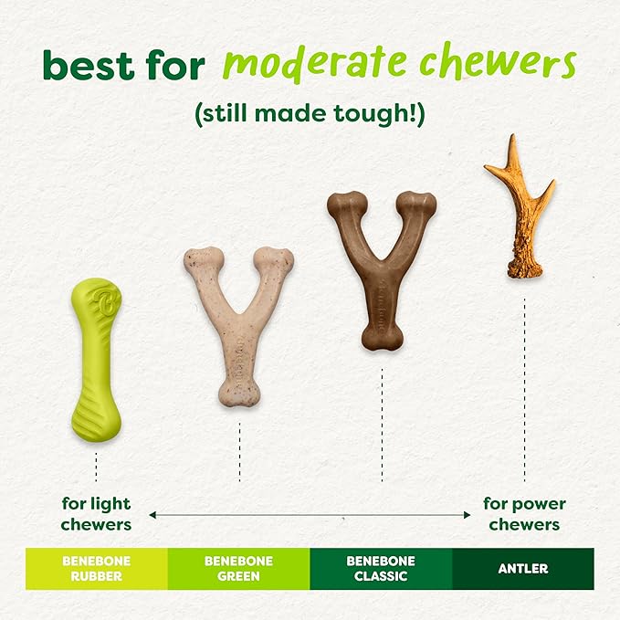 Benebone Green Plant-Based Real Bacon Wishbone Dog Chew Toy for Large Dogs, Dog Bones for Moderate Chewers, Made in USA