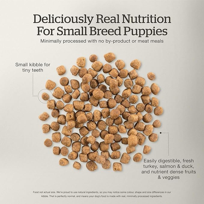 Now Fresh Grain-Free Small Breed Dry Puppy Food with Turkey, Salmon & Duck, Healthy Kibble for Growing Dogs with Real Poultry & Fish, Chicken-Free, Pumpkin & Probiotics for Good Digestion, 3.5 lb Bag
