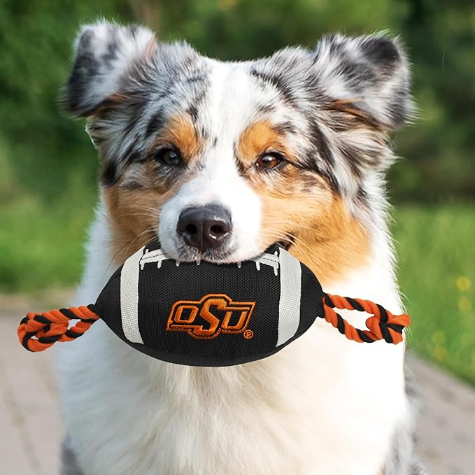 Pets First NFL Unisex NFL Nylon Football