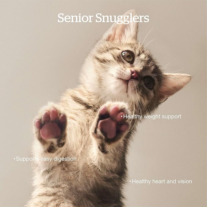 Now Fresh Senior Dry Cat Food, Turkey, Salmon & Duck Recipe, Grain-Free, Chicken-Free, 16 lbs