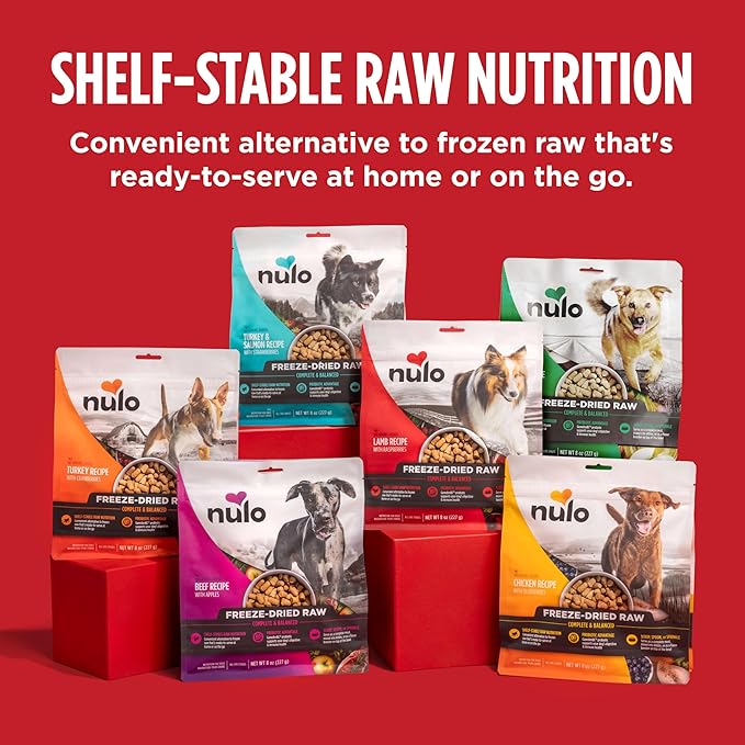 Nulo Freeze-Dried Raw Turkey & Salmon Recipe with Strawberries Complete and Balanced Dry Dog Food Kibble, 8 Ounce Bag