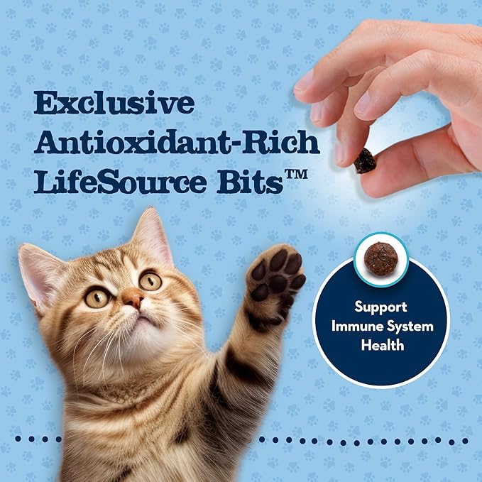 Blue Buffalo Baby Blue Natural Kitten Grain-Free Dry Cat Food, High-Protein Healthy Growth Formula with DHA, Savory Chicken, 2-lb Bag