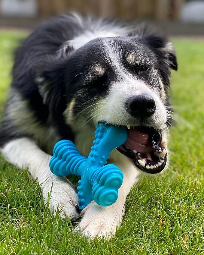 Nylabone Comfort Hold X-Bone Power Chew Toy for Dogs, Dog Toys for Aggressive Chewers, Beef Flavor, Large - Up to 50 lbs, 1 Count