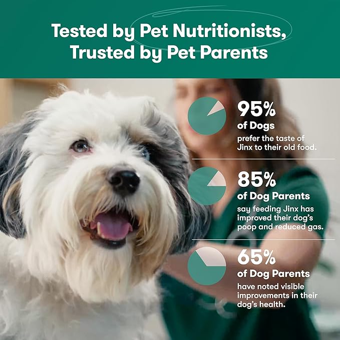 Jinx Premium Grain-Free Dry Dog Food, for All Lifestages - Real Salmon, Sweet Potato & Carrot Puppy Kibble with Superfoods for Immune Support & Probiotics for Digestive Support - No Fillers - 4lb