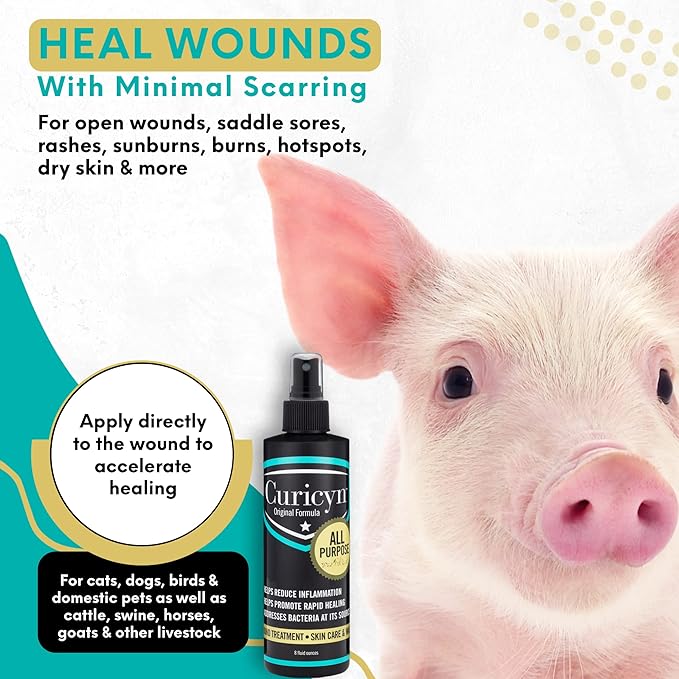 Curicyn Wound Care for Dogs, Cats & Livestock 8oz - All Natural, Fast Acting Wound Care for Pets, Safe Wound Care for Cats - Works on Varied Ailments, Easy Application Spray Bottle