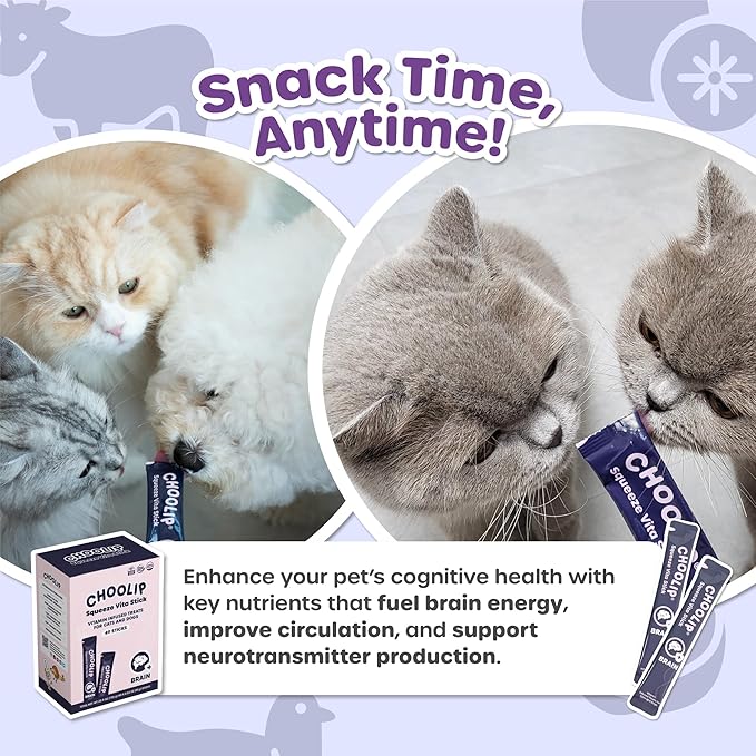 Choolip Squeeze Vita Stick Brain Support Lickable Cat and Dog Treats – 49-Count Beef and Chicken Sticks with DHA, CoQ10 & Vitamin E – Box with 7 Pouches for Brain Health
