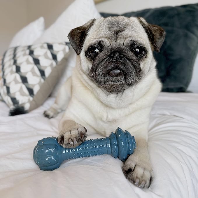 Nylabone Love Our Oceans Textured Barbell Power Chew Toy for Dogs, Recycled & Sustainable Chew Bones for Dogs, Dog Toys Made in USA, Bacon Flavor, Medium Dog Toys - Up to 35 lbs, 1 Count