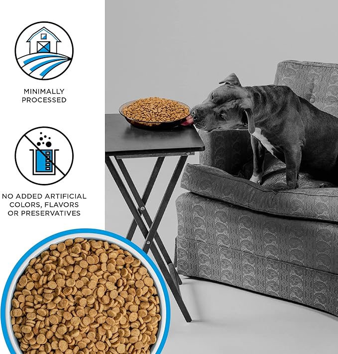 BIXBI Liberty Grain-Free Dry Dog Food, Fisherman’s Catch Recipe – Fresh Fish, High Protein, No Meat Meals – USA Made, 4 lbs