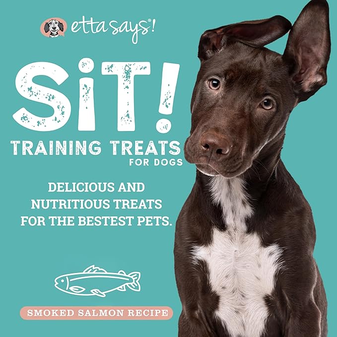 etta says! Sit Training Treats - All Natural Smoked Salmon Soft Treats for Dogs - Made in The USA - Soft & Chewy for Small, Medium & Large Dogs or Puppies - 2 Pack