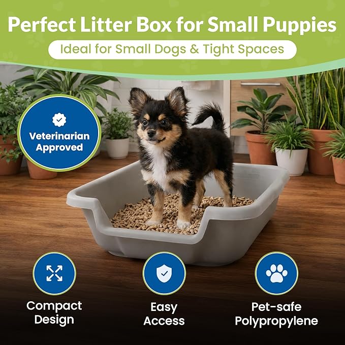 Dog Litter Box, Gray Color, Small Size, Durable & Pet Safe Puppy Litter Box, Indoor Open Top Entry Dog Litter Pan, Comfortable for Dogs, Great for Small Dogs up to 6 lbs (2 Pack)