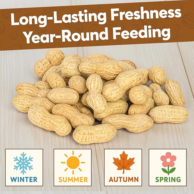 3 LB - Raw Peanuts For Squirrels, Raw In Shell Peanuts For Birds and Wildlife- Squirrel Food, Wild Bird Seed - Grown in The USA