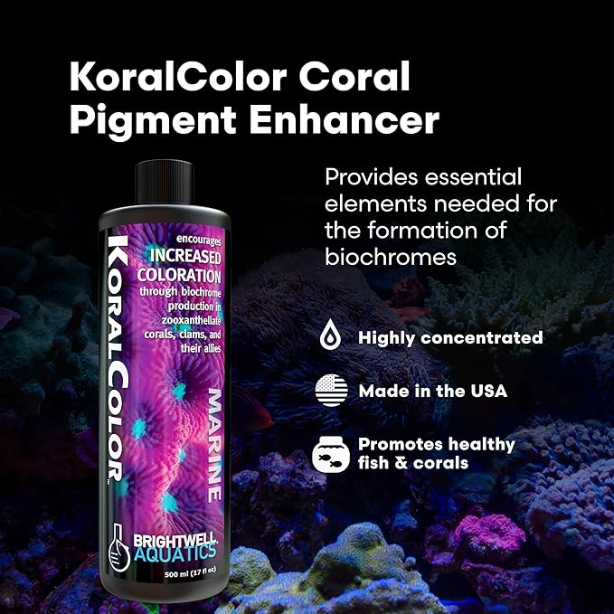 Brightwell Aquatics KoralColor – Coral Pigment Enhancer for Vibrant Reef Colors – Supports Zooxanthellae Biochrome Formation – Professional-Grade Trace Elements, 125 ml