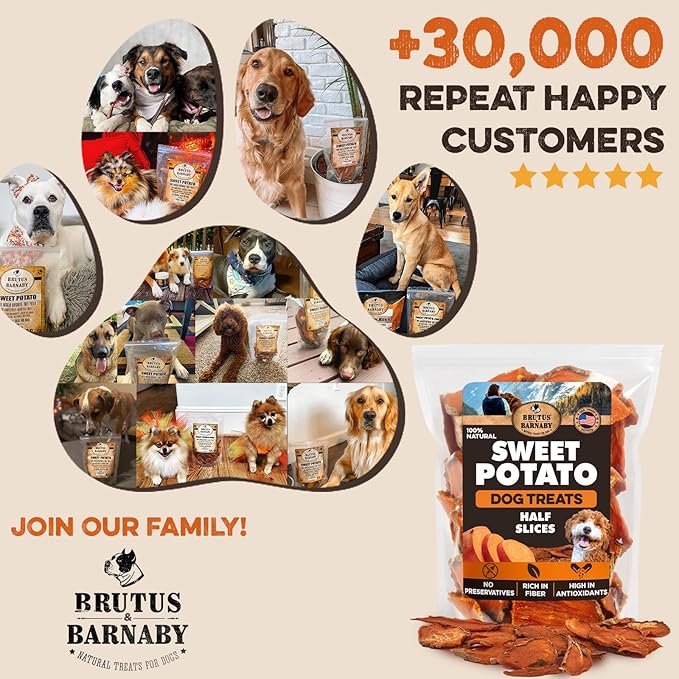 BRUTUS & BARNABY Sweet Potato Dog Treats - Dehydrated Half Slices for Dogs 8 oz - Single Ingredient, Grain Free, Natural Dog Chews, Made in USA