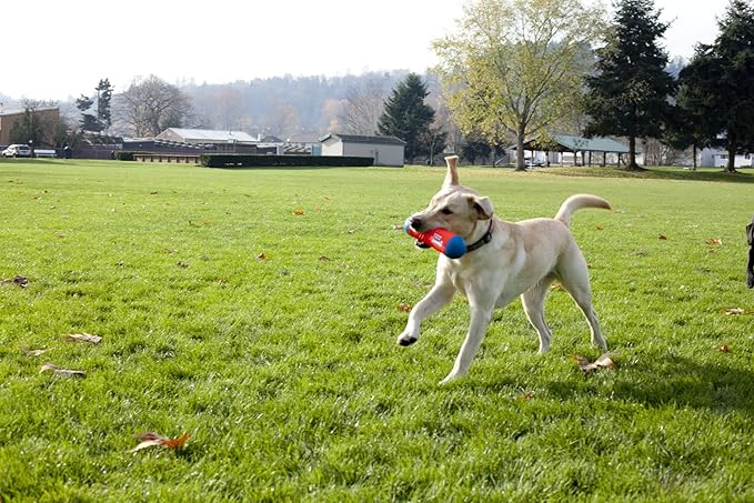 ChuckIt! Tumble Bumper Dog Toy, Medium