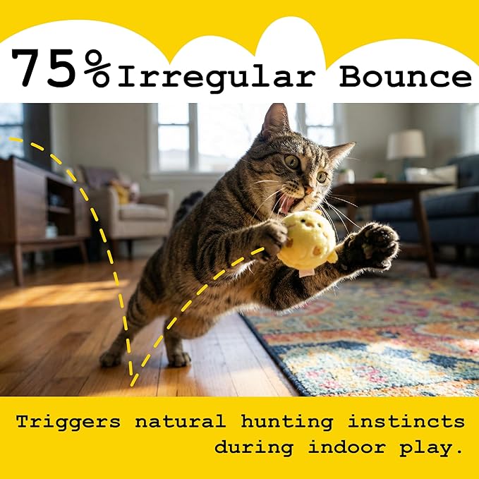 Fluffy Squeaky Pet Balls for Small Dogs and Cats (4, Multicolor)