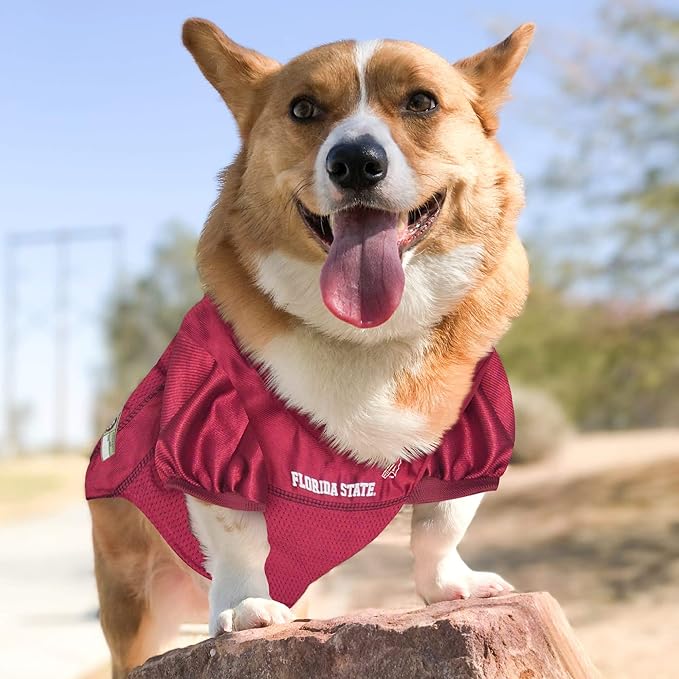 Pets First NCAA College Florida State Seminoles Mesh Jersey for DOGS & CATS, Medium. Licensed Dog Jersey with your Favorite Football/Basketball College Team