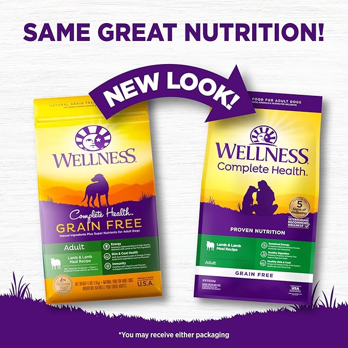 Wellness Complete Health Adult Dry Dog Food, Grain Free Kibble, Natural, Lamb Recipe, 24 lb Bag