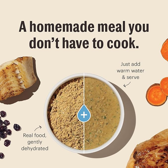 The Honest Kitchen Human Grade Dehydrated Grain Free Chicken Cat Food 4 Pound (Pack of 1)