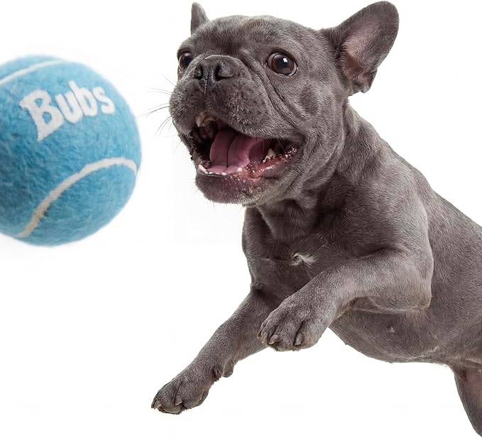 BubS Premium Durable Squeaker Balls for Dogs & Cats 3-Pack (2 inch) – Tennis Ball Style, Bouncy, Interactive, Safe & Long Lasting Fetch Pet Toys for Endless Fun (Small)