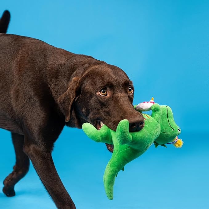 Fringe Studio Plush Dog Toy, I’M How Old?, Pet Shop Collection (314595)
