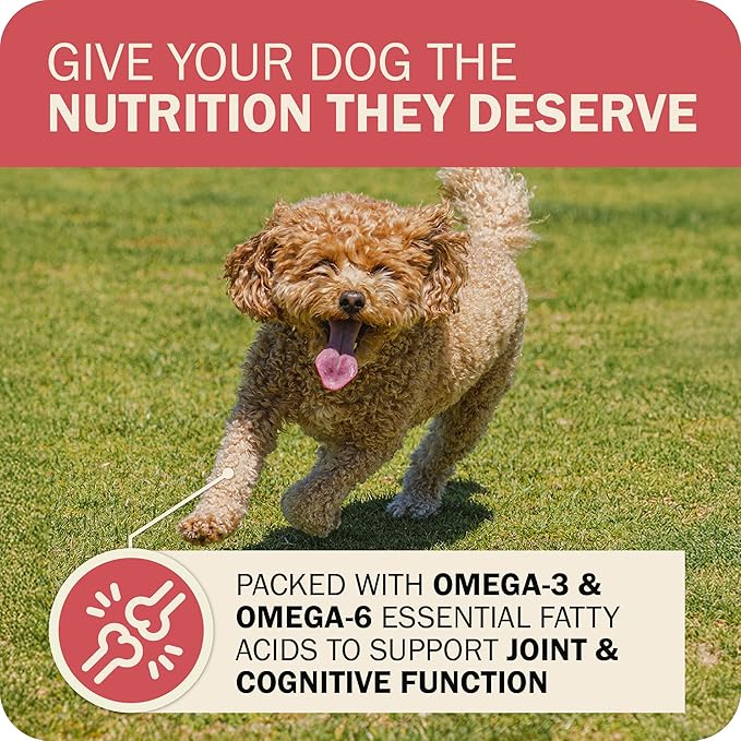 Redbarn Powerfood Fusion Air Dried Kibble Blend – Whole Grain Land Beef Lamb Recipe – Made in USA Adult Dry Dog Food with Superfoods, Prebiotics, Postbiotics - 3.5lb Bag (Pack of 2)