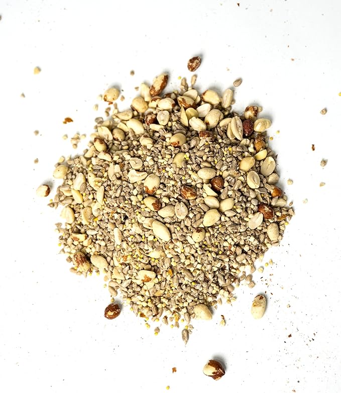 No Mess Wild Bird Seed – 2 Pack (10 lb Bags) Hull Free Sunflower Chip & Peanut Bird Feeder Blend