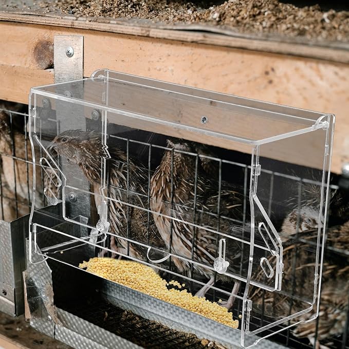 Amosfun Automatic Acrylic Chicken Feeder Bowl Medium Food Container Gravity Feeding Tray for Parrots Cockatiels and Small Birds Cage Use