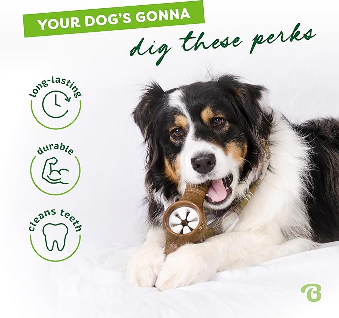 Benebone Pawplexer Interactive Treat Dispensing Tough Dog Puzzle Chew Toy, Made in USA, Medium, Real Bacon Flavor