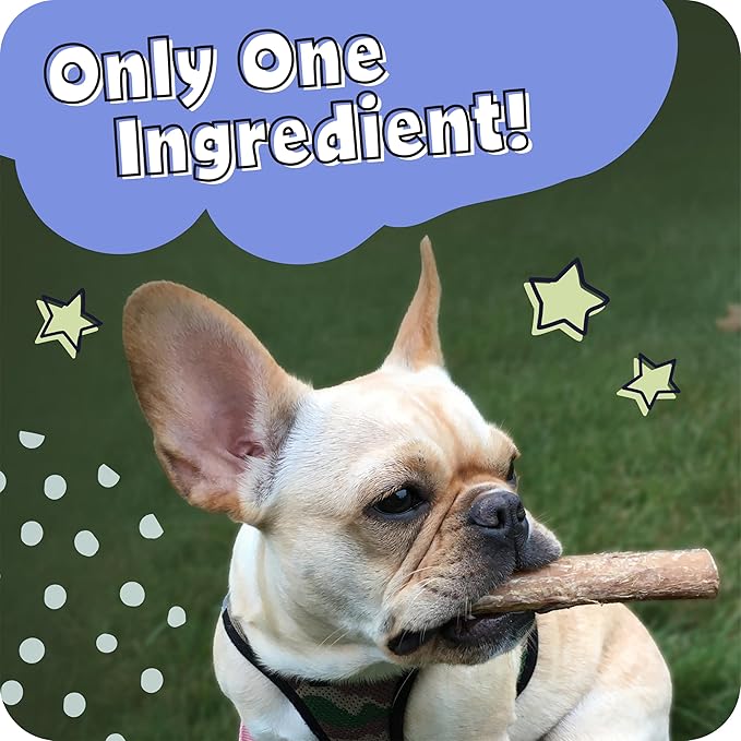 Pawstruck Bully Sticks for Dogs 6"" Long Lasting Rawhide Free Dental Chews Single Ingredient 100% Real Beef Pizzle Dog Treats 5-Pack Bonus Bag Low Odor Premium Quality