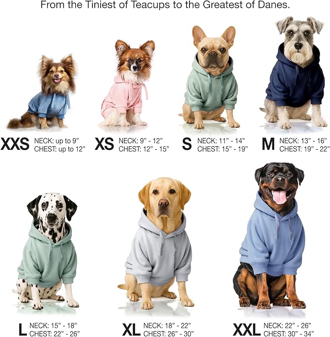 Pet Passion Cooper II Organic Cotton Velour Dog Hoodie Pet Coat for Small, Medium and Large Dogs, Heather Gray Color Block, Medium (20-45 lbs)