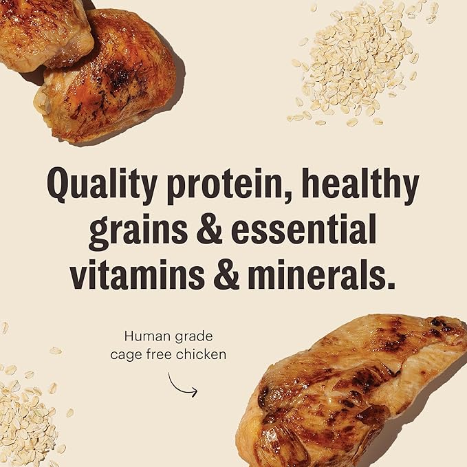 The Honest Kitchen Human Grade Essential Clusters Dry Dog Food, Whole Grain Chicken 20 lb Bag