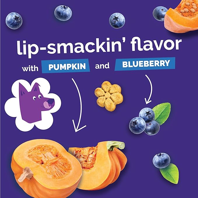 Fruitables Baked Dog Treats, Pumpkin Snacks for Dogs, Low Calorie & Delicious, No Wheat, Corn or Soy, Healthy Puppy Training Treats, Made in The USA, Pumpkin and Blueberry Flavor, 20oz