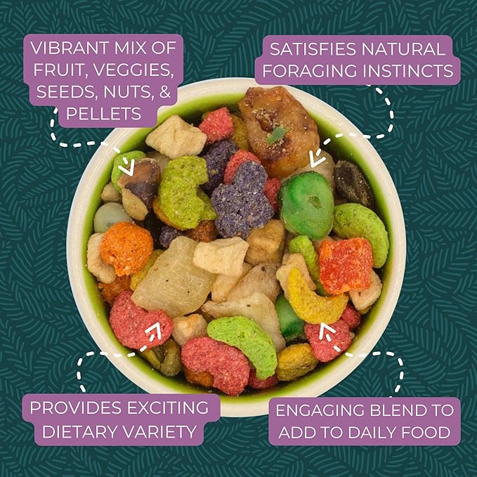 ZuPreem Pure Fun Bird Food, Parrot, Conure, Caique, African Grey, Eclectus,Small Cockatoo,Seed and Pellet Blend for Medium Large Birds,Bird Food Mixer Topper, Enriching Variety (ML, 2 lbs)(Pack of 2)